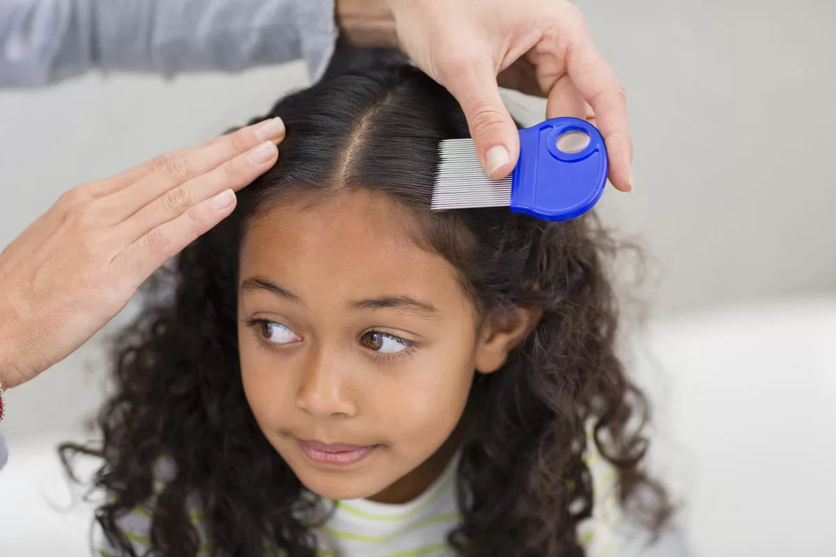 Top 8 Melhores Shampoos e Loções para piolho infantil